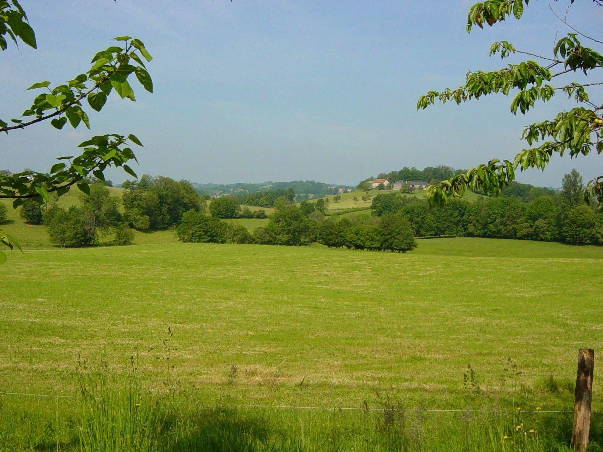 Domaine De La Clauzade Bed & Breakfast Saint-Germain-les-Vergnes ภายนอก รูปภาพ